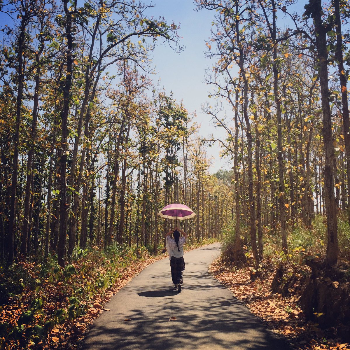 divyashrsth's tweet photo. All you #need to do is #walk #alone #findyourself #travel #roads https://t.co/PCIHk9MG0P