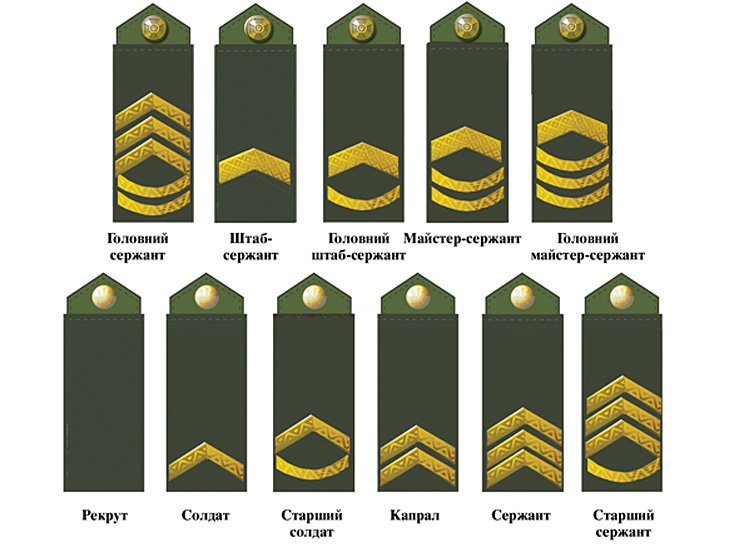 Звания кф вест