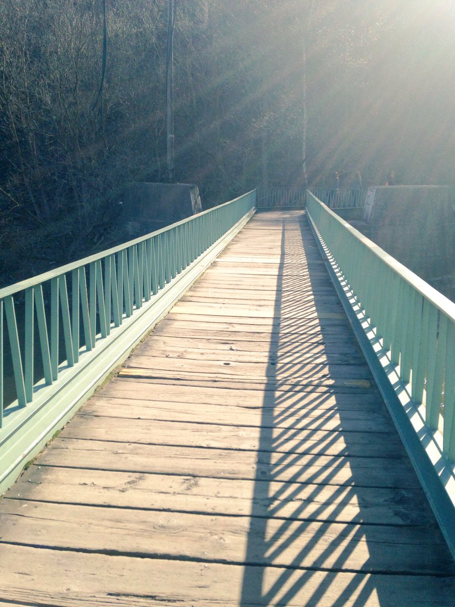 ChristineMayall's tweet image. Holiday run in my fave local park. Rediscovered #running over a year ago. #notlookingback