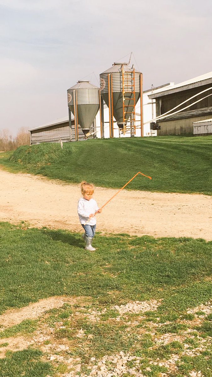 BaileyElchinger's tweet photo. Getting ready for the sale! #futureshowman #asfFuturechamp @albrightswine @NickElchinger https://t.co/VT1N0PiELY