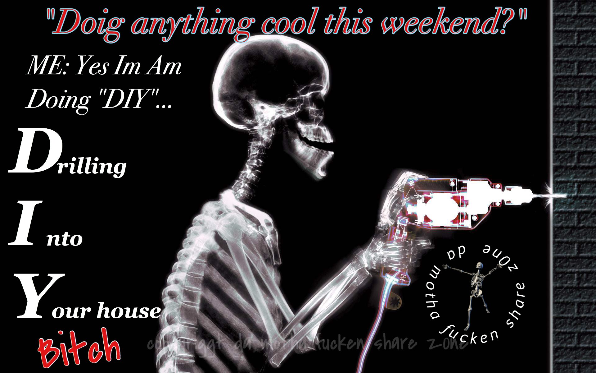 LITTLE ASS HOLES EVERYWERE