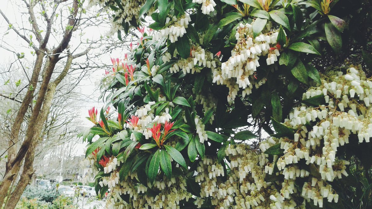 FindMeaningful's tweet photo. Spring - experiencing the divine mother in her many manifestations. https://t.co/EyVLZFdFac