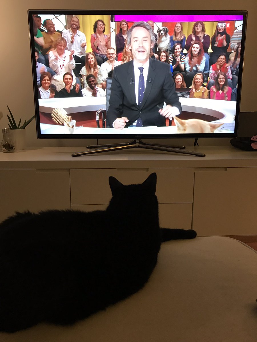 Emilizedresser's tweet photo. @Qofficiel intéressant 🤔 https://t.co/kKuKw86Gwy