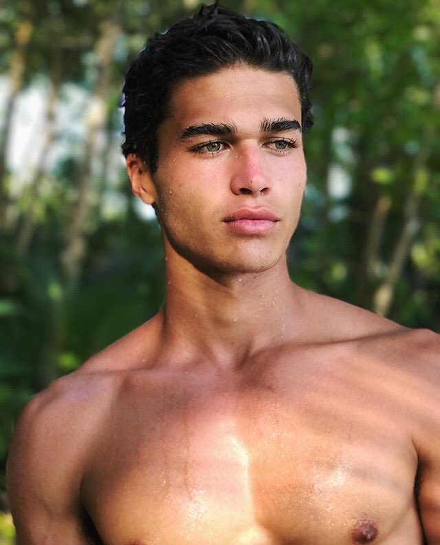 heyitsmayajones's tweet photo. why is he so beautiful? 😻 https://t.co/cdf7Ty2UYI