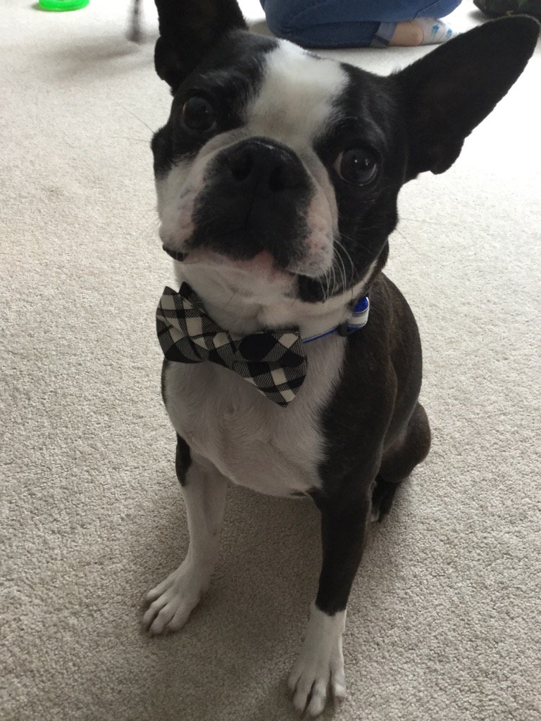 sandbott's tweet image. Dressed like a true gentleman!