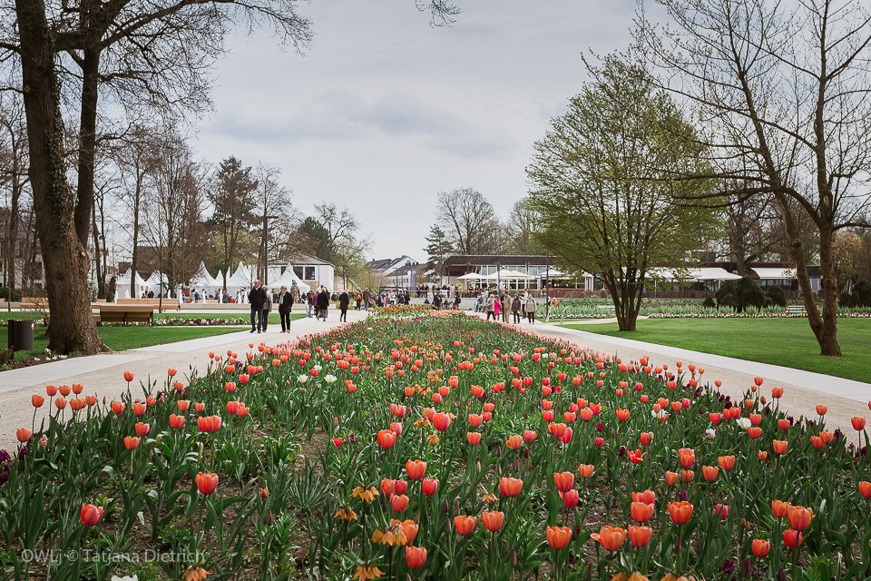 Oster-Highlights auf der Gartenschau Bad Lippspringe
 veranstaltungen.owl-journal.de/landesgartensc…