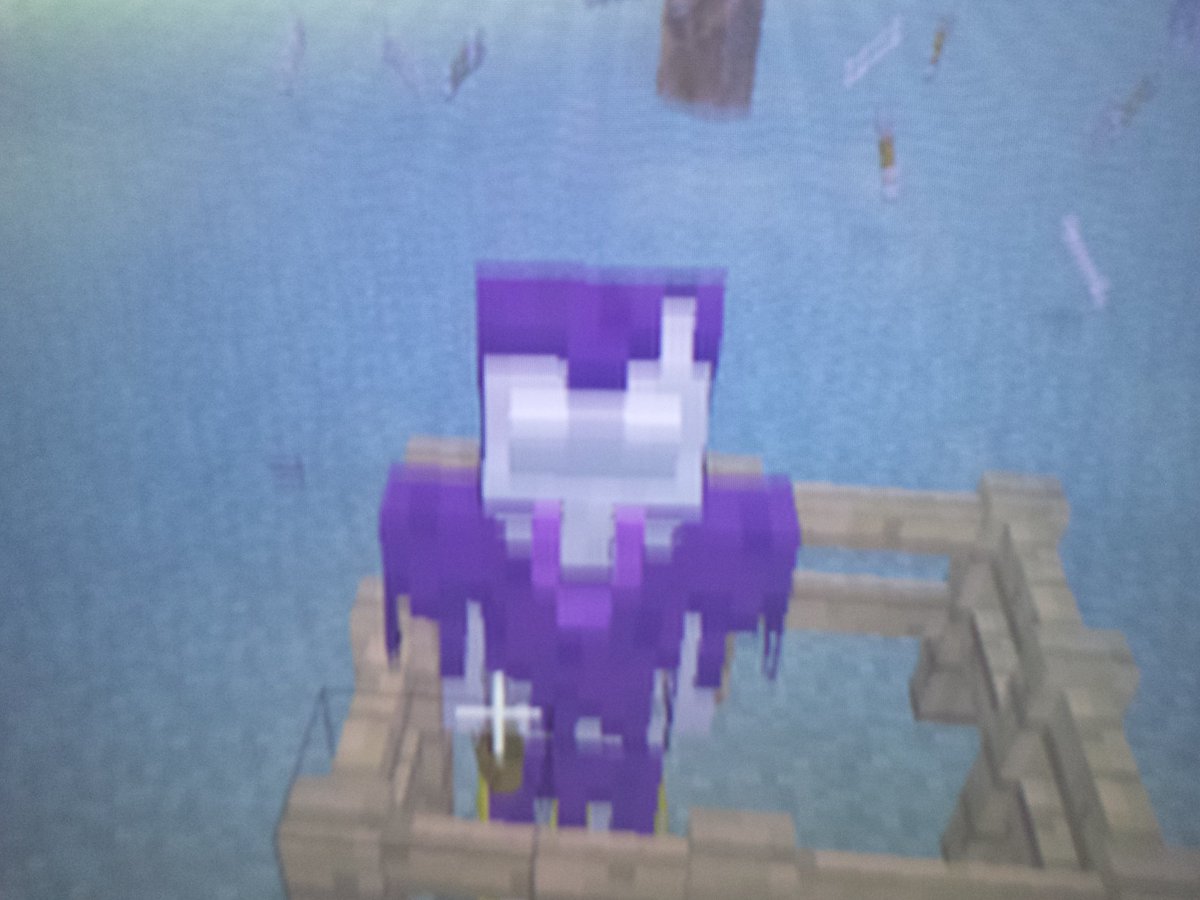 ArtyJayTCB's tweet photo. @eckoxsoldier @ibxtoycat @Bigbst4tz2 @stampylongnose @Mojang @4JStudios  this is what i found this in minecraft what is this stray? https://t.co/Ale6FTg4v0