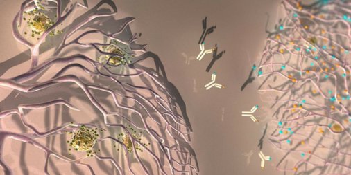 Immunology_LR's tweet image. A new anti-cancer approach involves an antibody that blocks two key proteins needed by tumors to build blood vessels buff.ly/2piUoCY