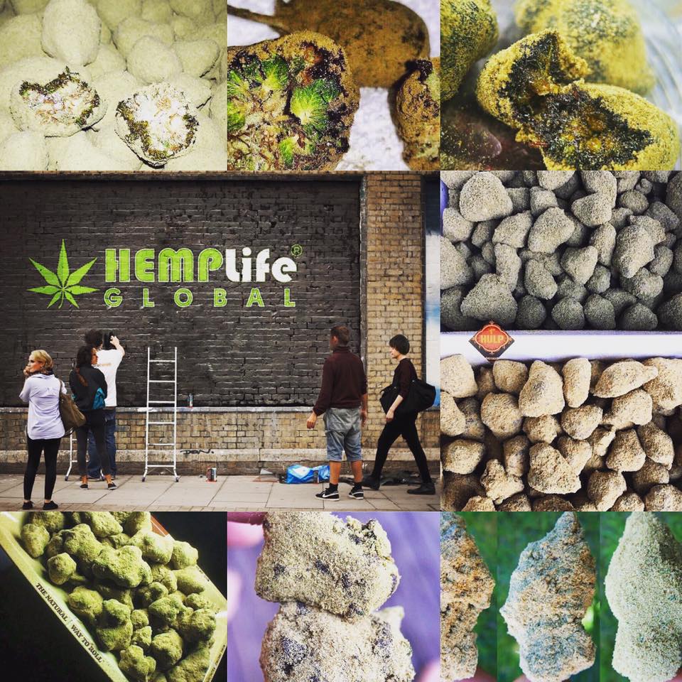 ArkansasHemp's tweet photo. @loeffleremily Join the cannabis revolution! There's a secret site for weed lovers only called https://t.co/CKHuDfIE4o. Let's get connected! https://t.co/ThNyDs7bmT