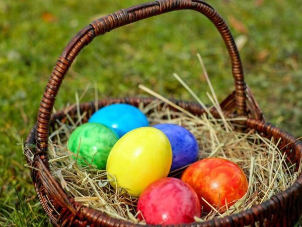 Entry Systems Garage Doors & Gates (@entrysystems) on Twitter photo So many great #Easter events happening in #OrangeCounty. See where to take the family this weekend: bit.ly/2ocpH1n <a href="/LagunaBchPatch/">Laguna Beach Patch</a> So many great #Easter events happening in #OrangeCounty. See where to take the family this weekend: bit.ly/2ocpH1n <a href="/LagunaBchPatch/">Laguna Beach Patch</a>