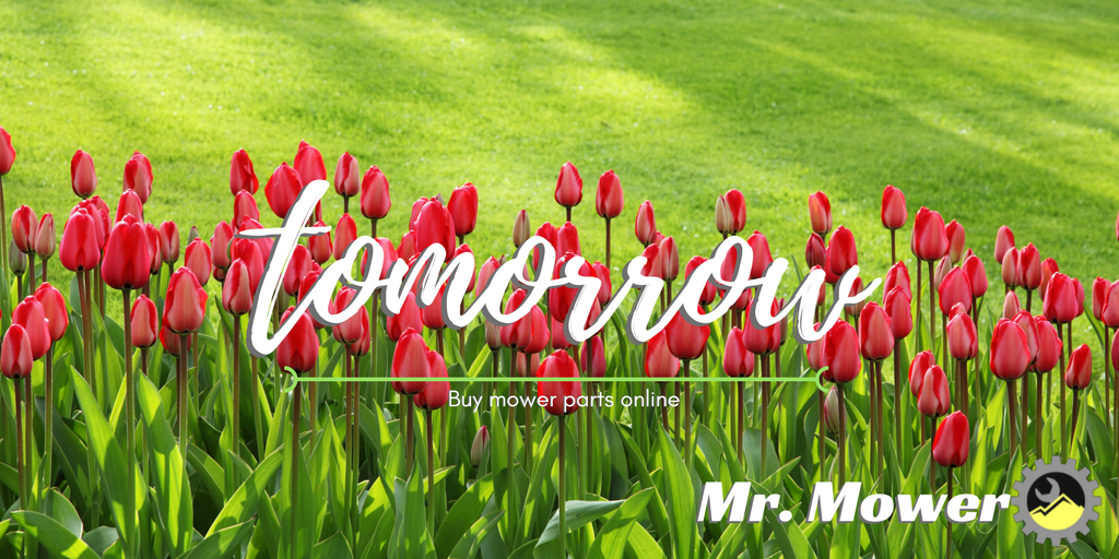 mr_mower's tweet photo. 🎶 The sun'll come out tomorrow, you can buy great #mowerparts tomorrow... 🎶

https://t.co/PSgGnHiWHc https://t.co/UJuDw9LJfv