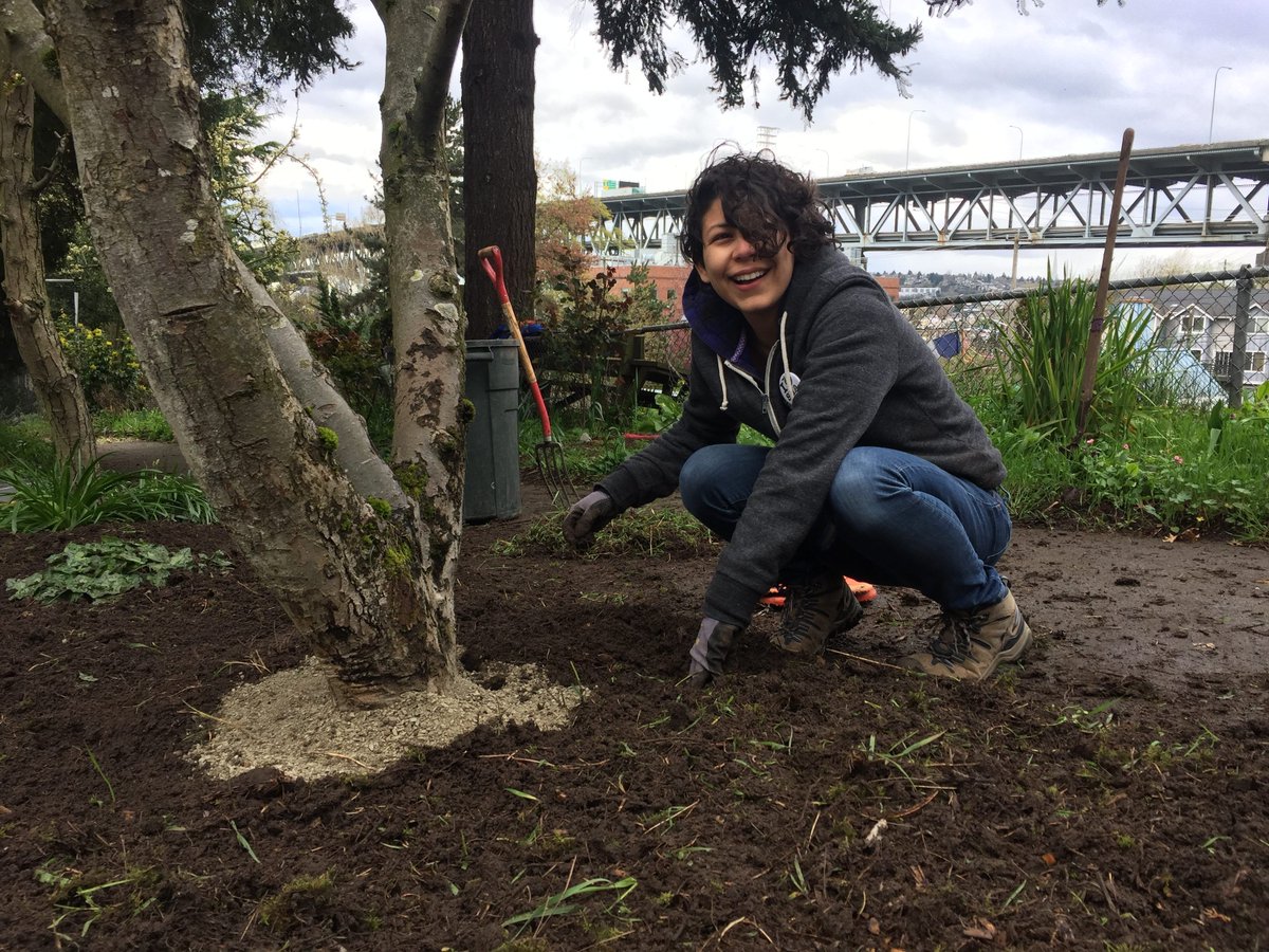 WheelhouseDMG's tweet photo. Wheelhouse teams volunteered 75+ hours in the Seattle community on our latest #GenerosityDay: https://t.co/aG0Zx6XX9s #giveback #charity https://t.co/QFnjGvLxhD