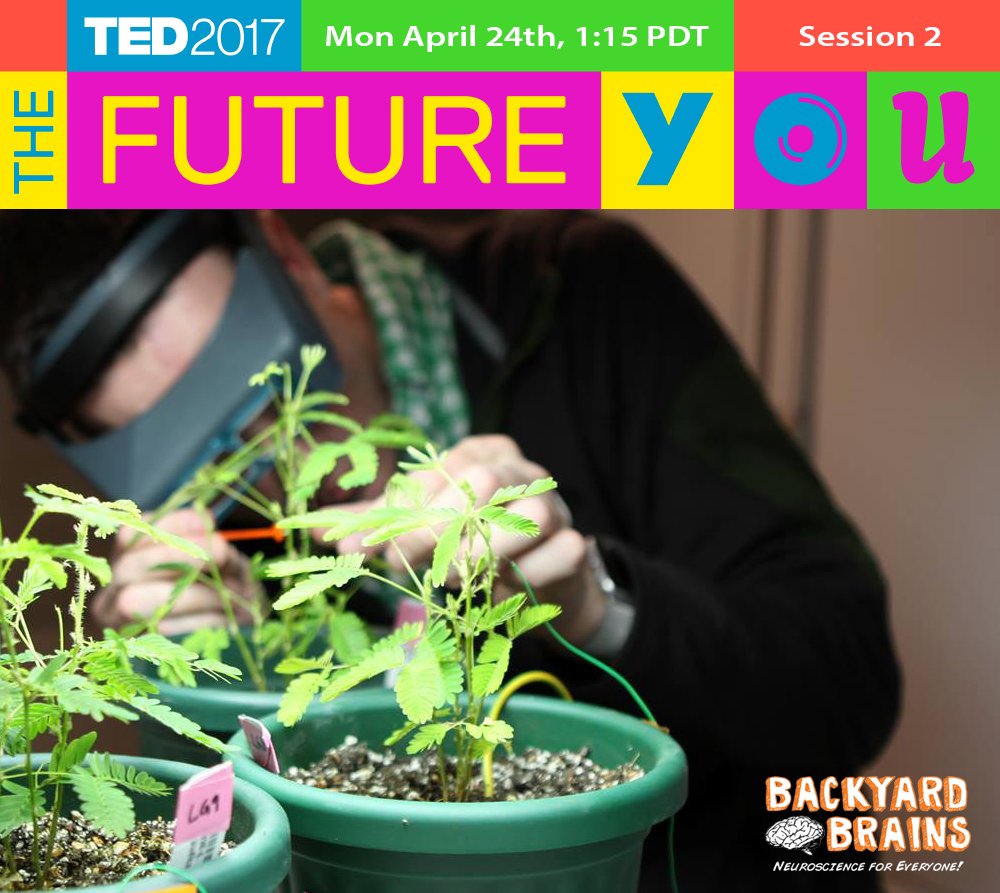 Backyard Brains tweet media