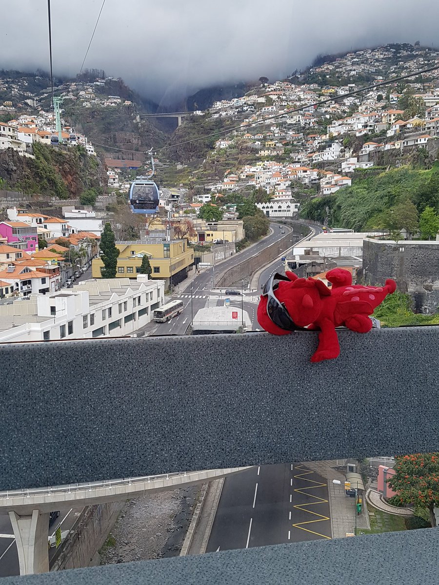 Mathsblackcat's tweet photo. Cable car journey @Emberfirefamily @SeahamMaths https://t.co/zKTSXhp7Qj