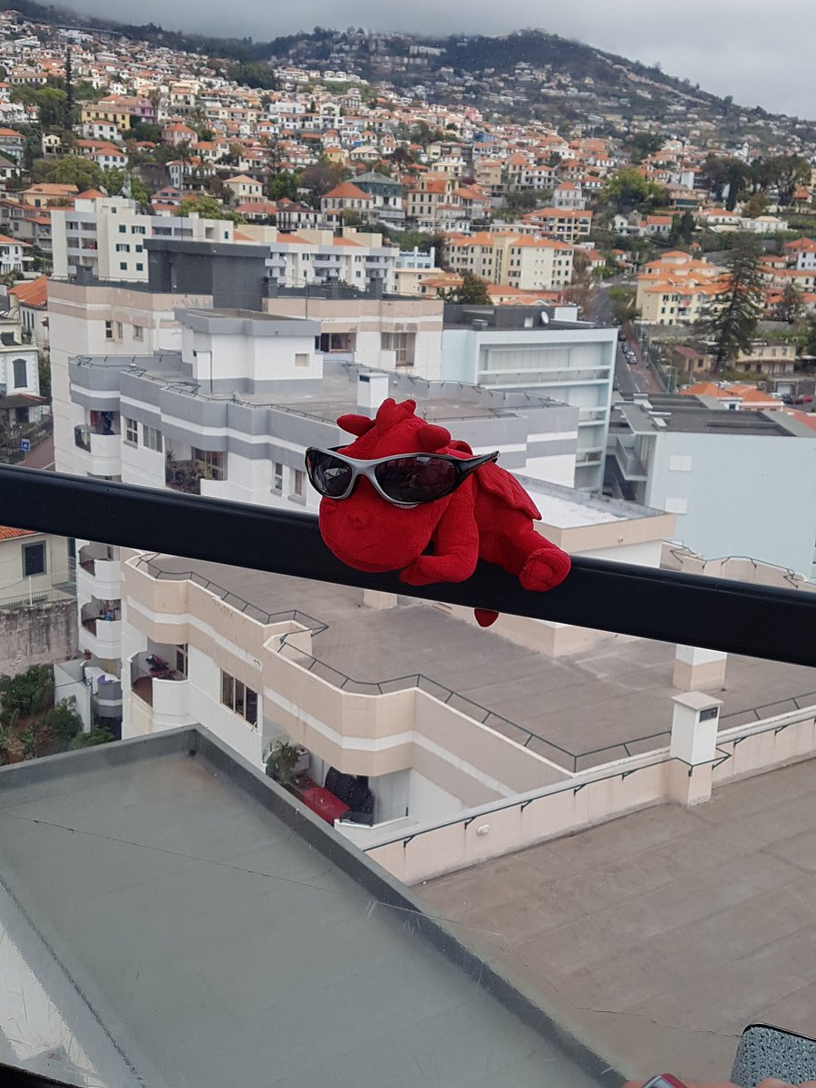 Mathsblackcat's tweet photo. Cable car journey @Emberfirefamily @SeahamMaths https://t.co/zKTSXhp7Qj