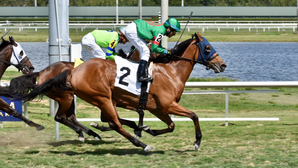 Gulfstream Park tweet media
