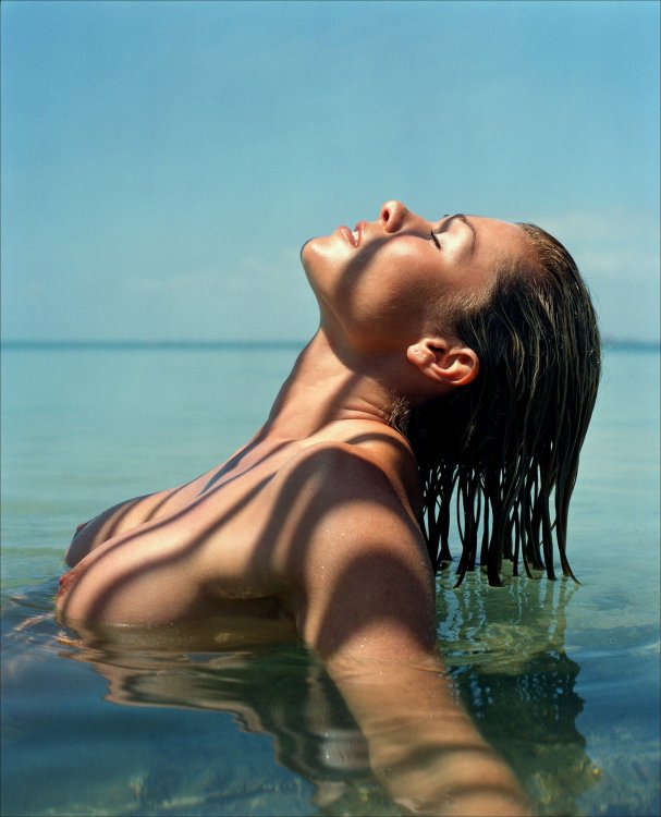 diaherag's tweet photo. @_cassoni @ladega1957 @camstarwar @kovalent12 @Wowsosexygirls @Angerman68 @elibrown556 @willywhitelaw @kalous_vaclav @isrc1970 @OliverovaSandra @Equi7el @jacques1290 @destaafmixer @Febal66 @Dragonson4 @froggi113 @sensualidad2016 @johnluyks @efraingerard @EP202  https://t.co/r5XWbxsCoV