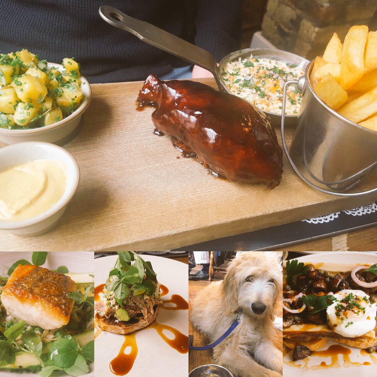 stacebudstweetz's tweet photo. Amazing afternoon @ScranandScallie Top food, drink and service Thank you @RMGC89 @pnublat and team #foodie #bestinedinburgh #dogfriendly https://t.co/2csmeQwzCD