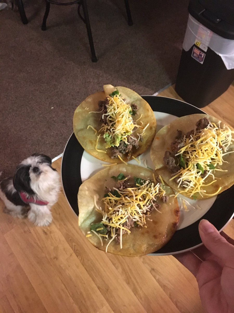 StDrCates's tweet photo. @GordonRamsay please roast my tacos https://t.co/xq12vW9MzP