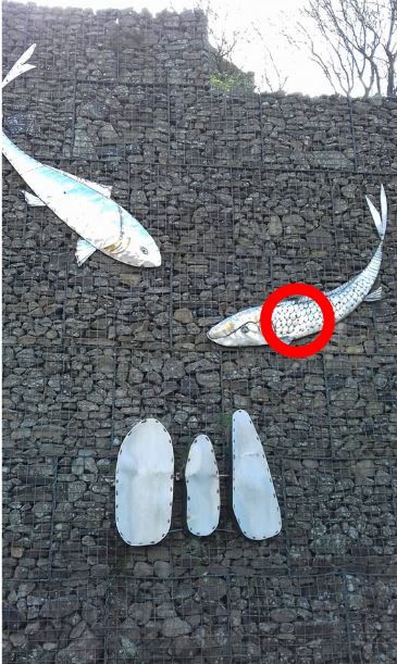 greypollen's tweet photo. @GreyCollector   From Alan Perry -  Big Fish on Wall Grey    Pennines, UK https://t.co/hwI6HCrXoT