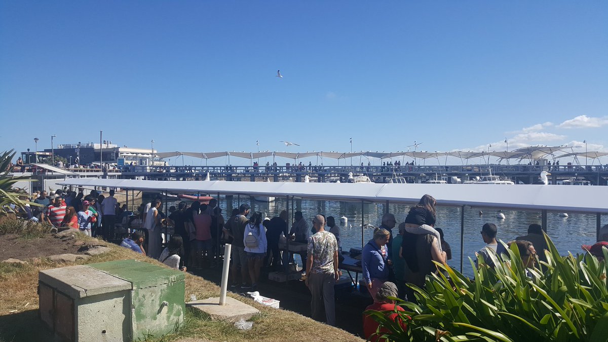 Hermoso Viernes en #PuntaDelEste, colmado de visitantes que disfrutan del sol que reina en la península!!!
#Uruguay
<a href="/uruguaynatural/">Uruguay al Natural</a>