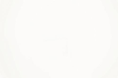 Alyssa Bourgeois. tweet media