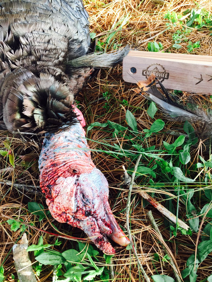 Red Rising TV tweet media