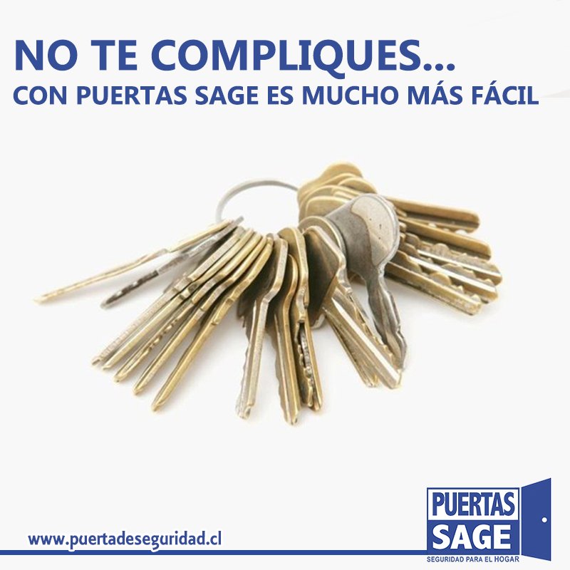 Visita nuestra Web puertadeseguridad.cl