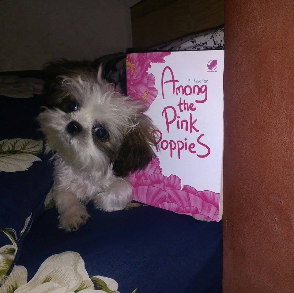 utiauthor's tweet photo. Thank you! Never thought #fanspost #fanspic #amongthepinkpoppies can be this cute. #amwriting @Penerbit_BIP #cute https://t.co/6buMAoOxH8