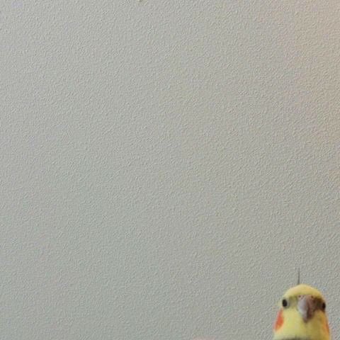 Open for a surprise 🙊