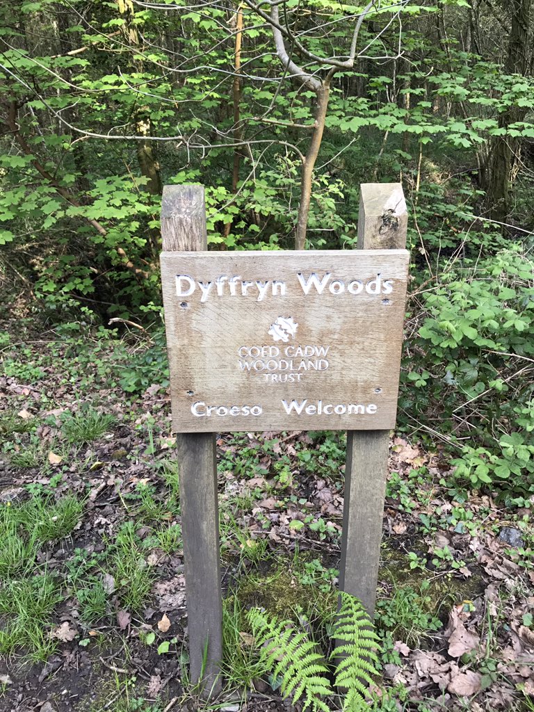 Keep Neath Tidy tweet media