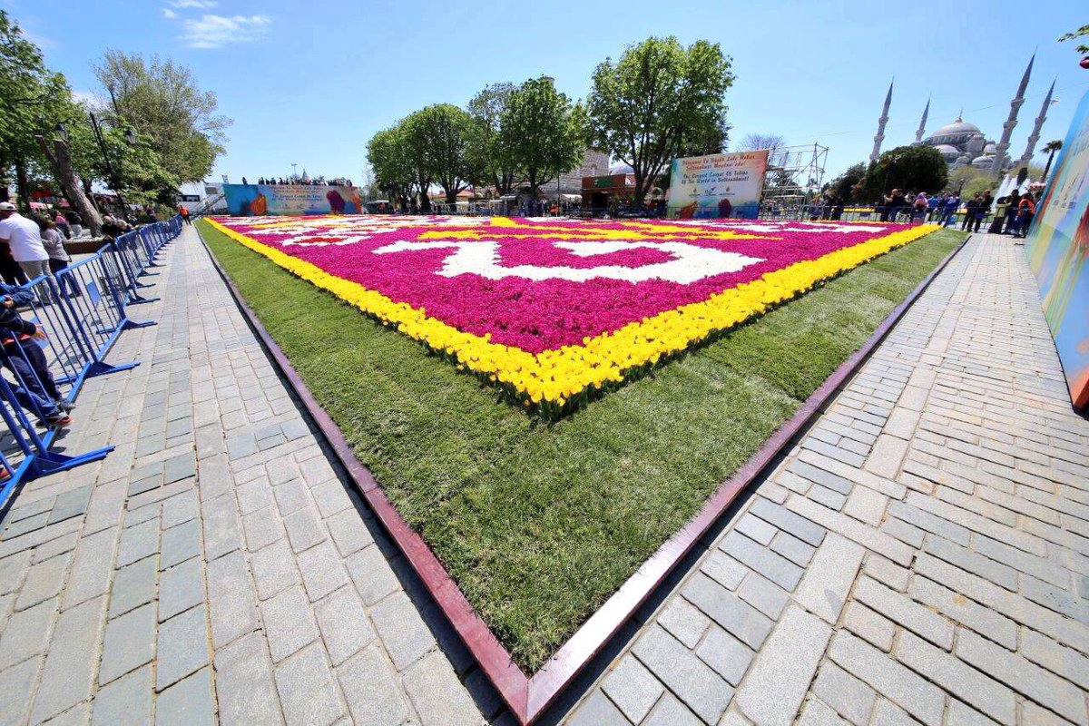 Dünyanın en büyük lale halısı resmî açılışı Sultanahmet Meydanı'nda Başkan Kadir Topbaş ile bugün saat 13.30'da gerçekleşiyor.
