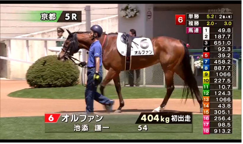 Jra Fun 京都5rでオルファンがデビュー 三冠馬 オルフェーヴルの妹 ちなみにオルファンはフランス語で 純金 オルフェーヴルは 金細工師 という意味だよ うまび オルファン T Co Vxnzb5epcv Twitter