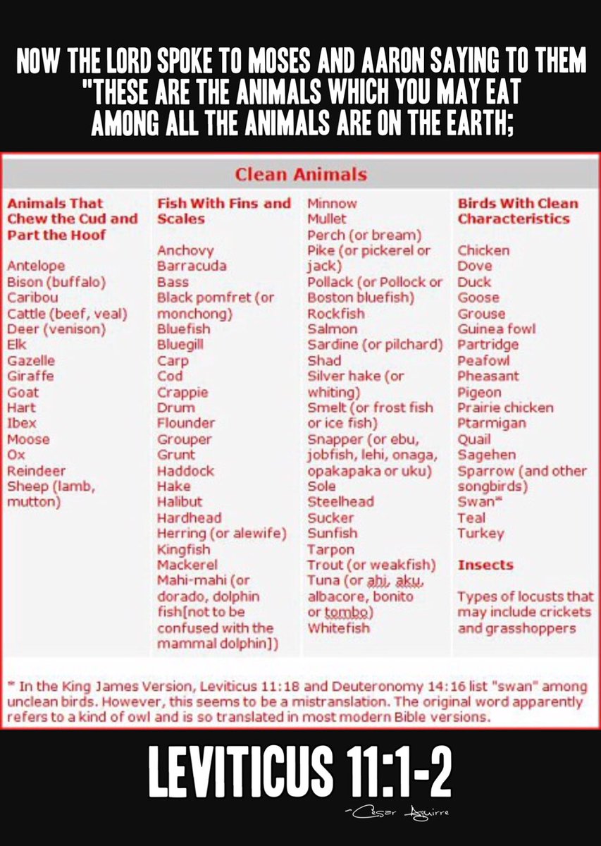 IFEFilms's tweet photo. "These are the animals which you may eat" in the #Holy #bible #book of Leviticus 11 #CleanAnimals #food #Dinner #BibleStudy #bibleverse #God https://t.co/mkSZqIZtya