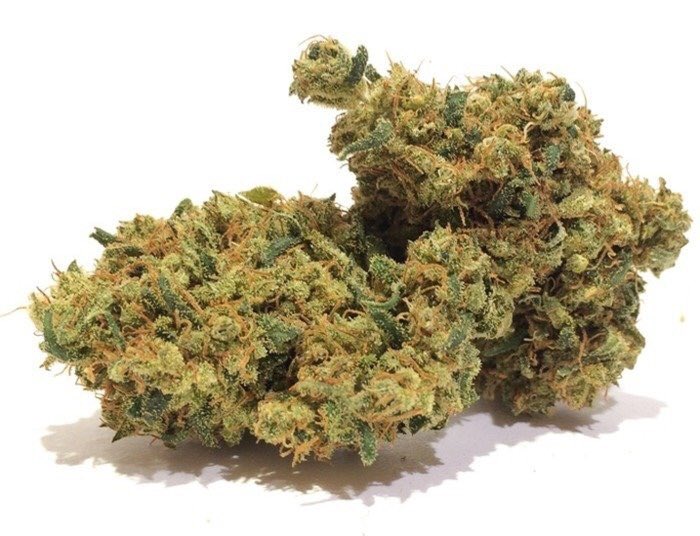 WeedPosts4_20 tweet picture
