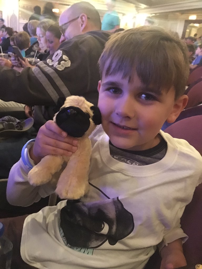 stephaniesshop's tweet photo. @danTDMLive Max is most like a pug: huggable &amp; adorable https://t.co/RkHjdGVKlu