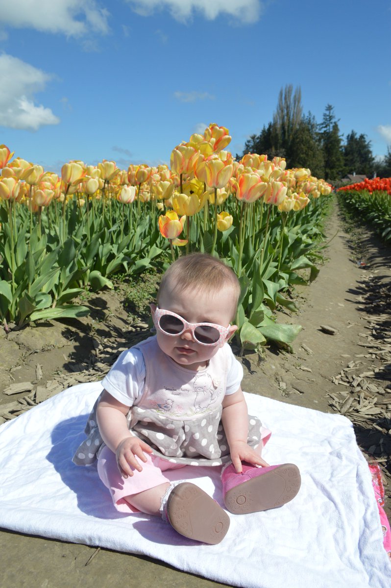 kaarinkeil's tweet photo. Enjoying a family tradition with the newest member of the family.  A beautiful day in the tulips! @Tulip_festival #bbtbspring https://t.co/slgNvcw5Vm