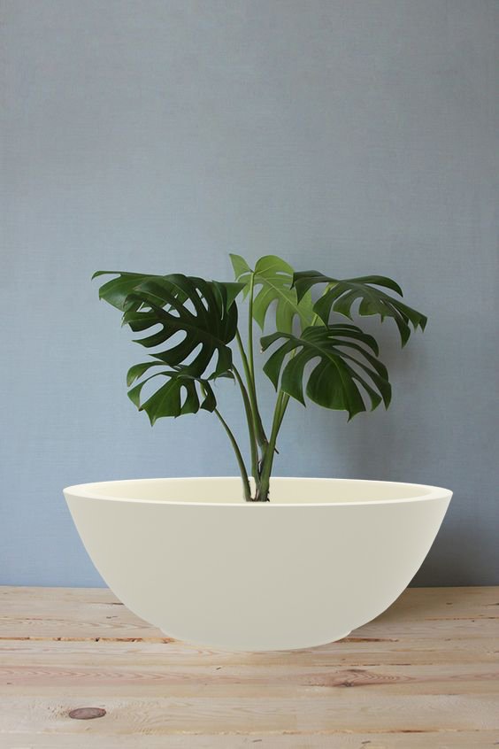 yuccabeitalia's tweet photo. Top 5 #Benefits of #LightweightPots
See:https://t.co/Z33KNTutMc
#FiberGlassPlanters #LEDPlanters #WallhangingPlanters #Delhi #Gurgaon #Pot https://t.co/DMzSC3ugJl
