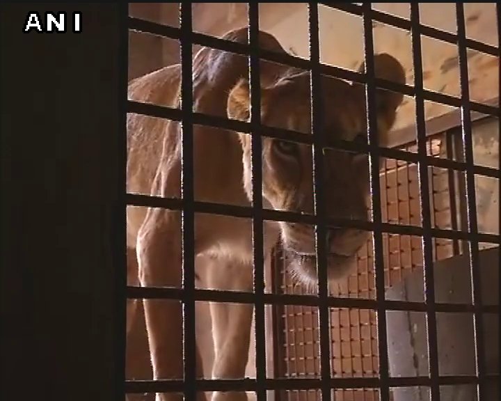 ANI on Twitter: ANI on Twitter: