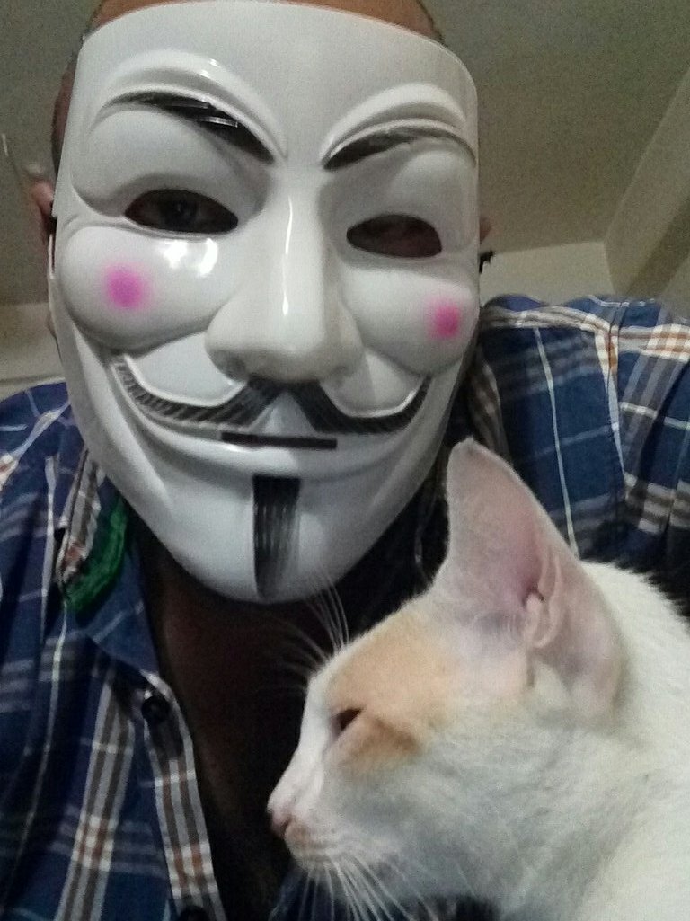 positrix's tweet image. Hello Anon brothers and sisters. Stay strong, stay safe, stay curious.