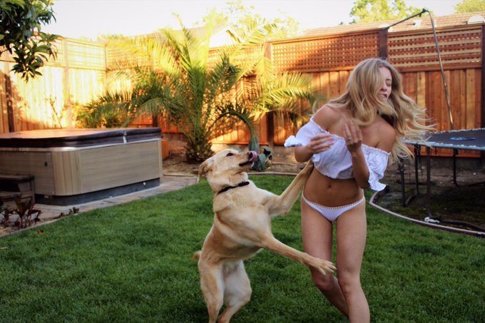 Expectation vs reality of taking a photo with your dog https://t.co/RL0zpsFJNQ