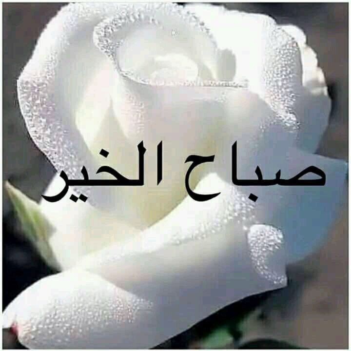 awadelsayed116's tweet photo. https://t.co/ySnECP1GhX