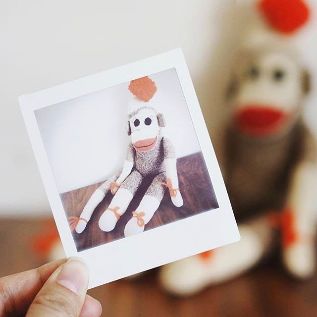 InstaxClub's tweet photo. Repsot 📷: @onandon_shop 「instax SQUARE SQ10」
#instax #チェキ #instaxSQUARE #SQ10 #camera #film #polaroid #onandonshop… https://t.co/Tl14Zs3bFz https://t.co/ygj3vxO3p0