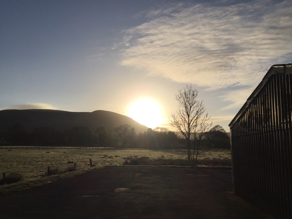WhatsBrewingBro's tweet photo. Skimming Old Jock on a beautiful sunny and frosty Saturday morning! @BroughtonAles #brewing #strongandbold https://t.co/tDv09p7fmQ