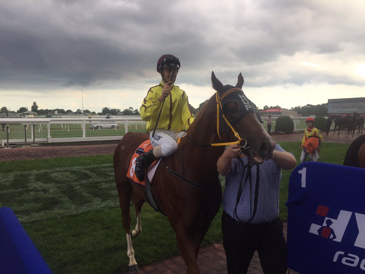 RVCarps's tweet photo. Unique day in OZ racing - Steven Parnham wins @ Caulfield on Malibu Style - Chris wins @ Morphettville &amp; Brad winner @ Ascot #WinningTreble https://t.co/tVHk0Ceb8A