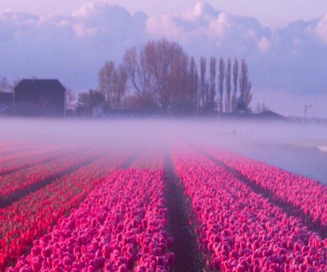 dantonio_luca's tweet photo. Così come la nebbia lascia il posto al sole,la speranza deve vincere sulla paura...
🌞🌞🌞BUONGIORNO!🌞🌞🌞☘️ https://t.co/JQsISJwFRH