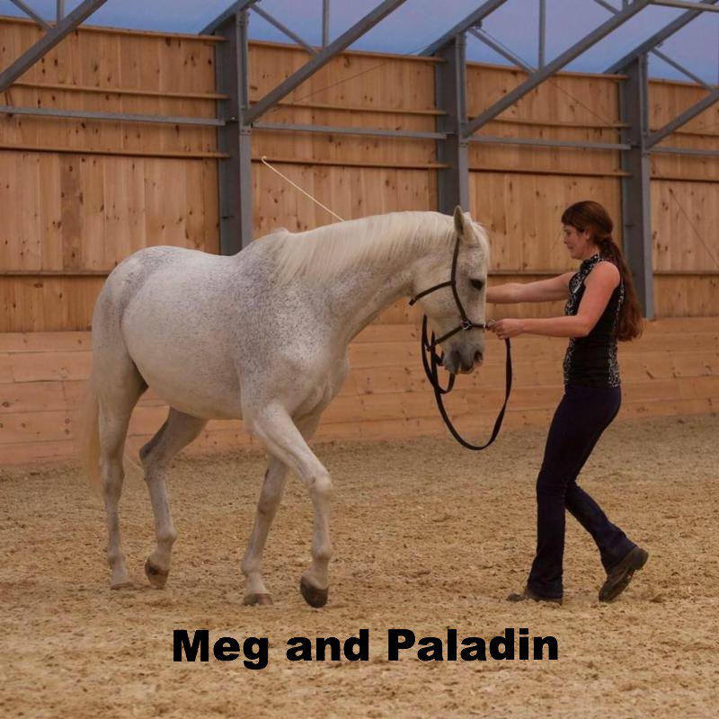 ICOHinc's tweet photo. Free Webinar Invite! All Horse Lovers are Welcome! #StraightnessTraining #ClassicalDressage https://t.co/0nXvzCNH7K https://t.co/XMgokrqpCu