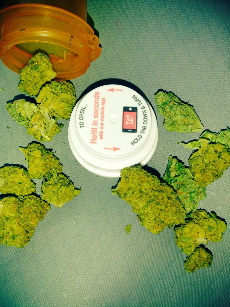 YnRGxNG's tweet photo. 420 we all ready #allofus #420 #fuck12 #rebels https://t.co/ZC4LKyhHbp