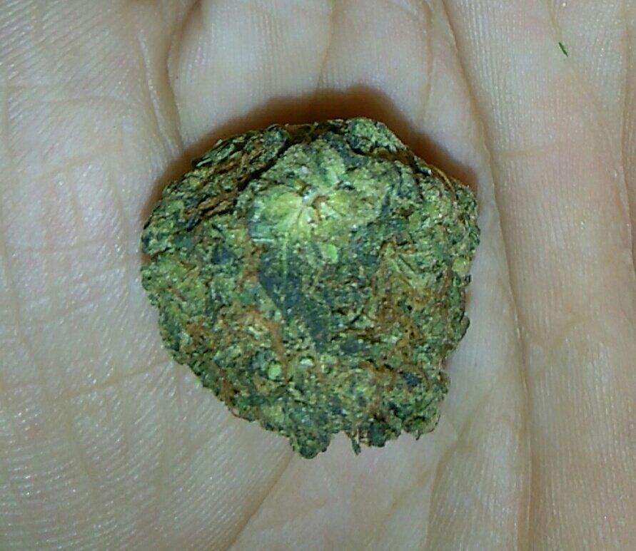 YnRGxNG's tweet photo. 420 we all ready #allofus #420 #fuck12 #rebels https://t.co/ZC4LKyhHbp