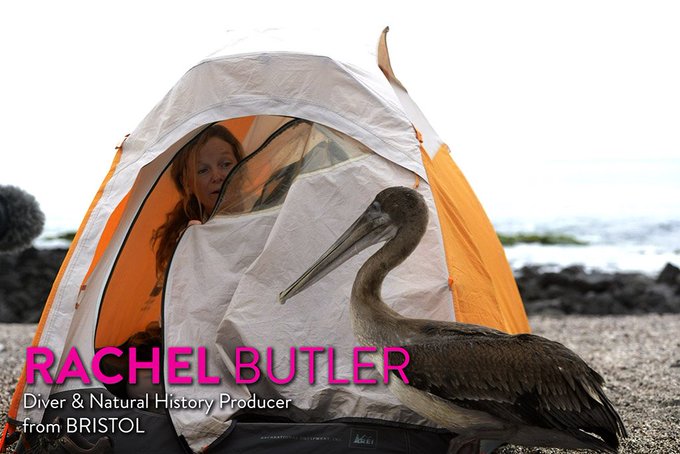 Underwater wildlife filmmaker/producer @rachelhbutler (@BBCEarth) shares her unique experience from The<a class="tags" target="_blank" title="On Twitter" href="/?out=eyJ0eXAiOiJKV1QiLCJhbGciOiJIUzUxMiJ9.eyJpYXQiOjE3MjU3OTI4OTIsImlzcyI6InR3cG9ybnN0YXJzLmNvbSIsIm5iZiI6MTcyNTc5Mjg5MiwiZXhwIjoxNzU3MzI4ODkyLCJyZWRpcmVjdF91cmwiOiJodHRwczovL3R3aXR0ZXIuY29tL3JhY2hlbGhidXRsZXIifQ.ljfC_o87tpbCPvTzT5rA-oyCfa5IIMkmPAqDwR4RE_91Slsv9jy8zxbHcqsf-A3xSolfB9n06trWwmz_YCMpxA">@rachelhbutler</a><a href="/tag/greatbarrierreef"class="tags"><span>#greatbarrierreef</span></a><a href="/tag/egconf"class="tags"><span>#egconf</span></a>